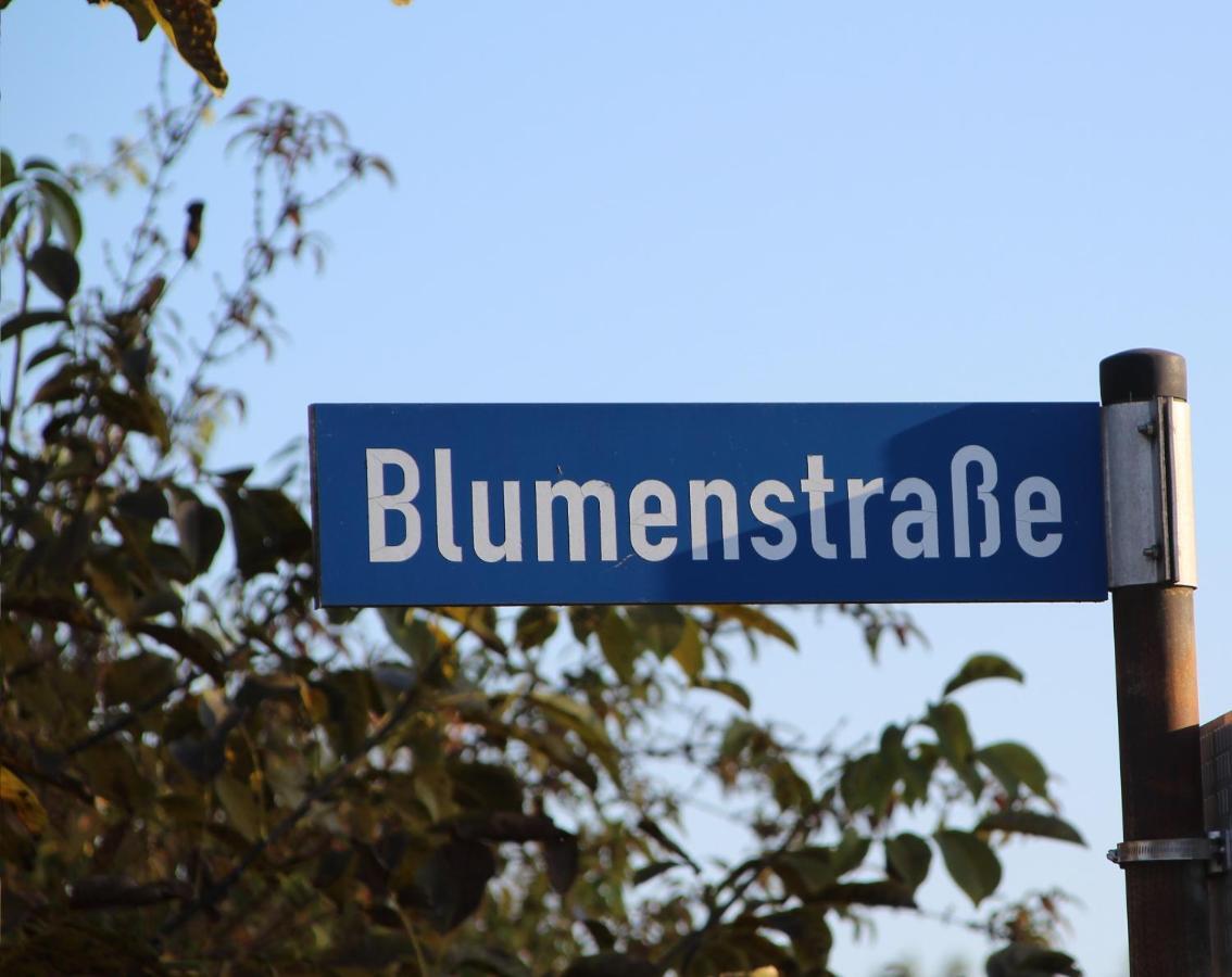 Ferienwohnung Auf Der Blumenstrasse Nettetal Kültér fotó